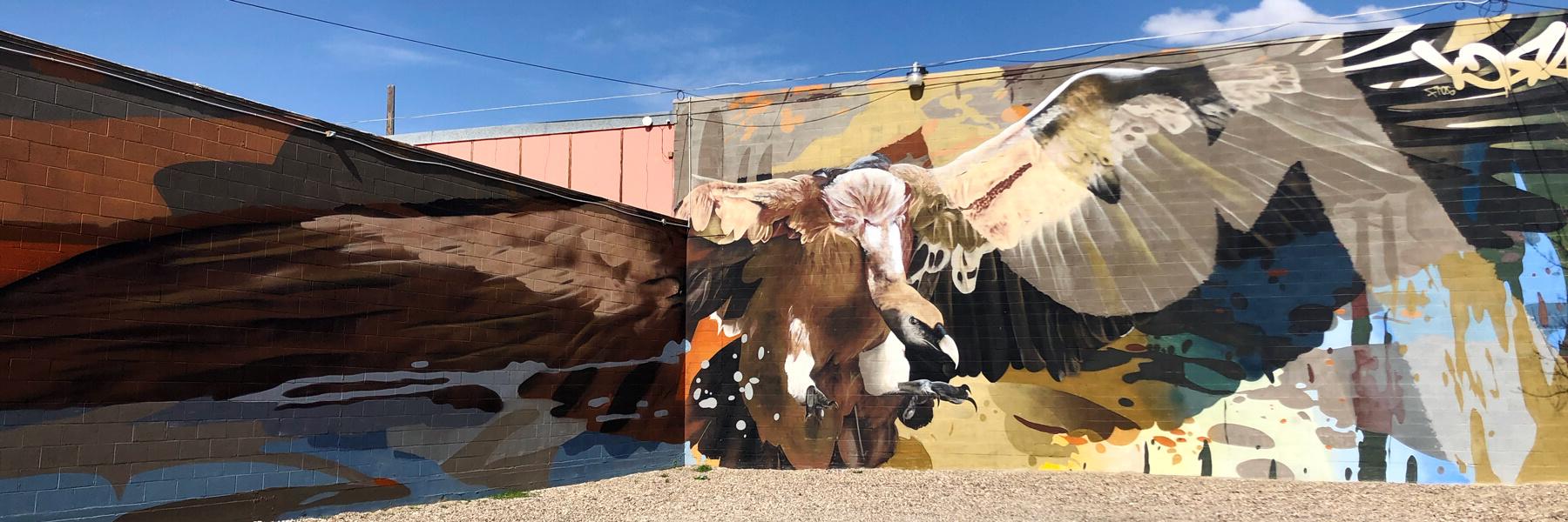Plateau by Arcy Mural in Rock Springs